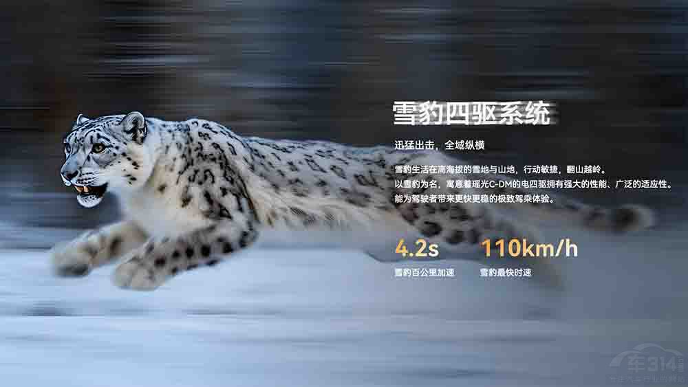 ��;����C-DM�������У����(q��)����15.99�f