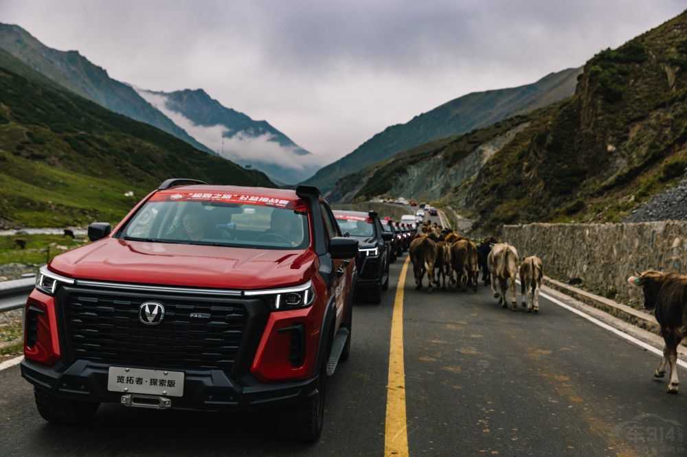 ̽����������Ҫһ�v�L(zh��ng)���[���ߡ�̽���棡