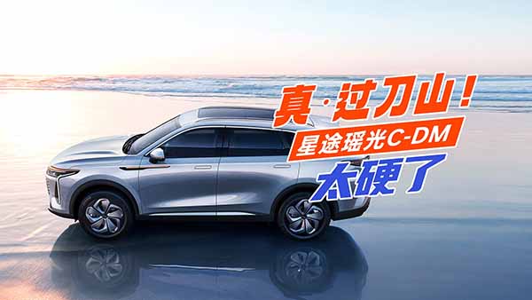 �桤�^��ɽ����;����C-DM�@Ҳ̫Ӳ�ˣ�