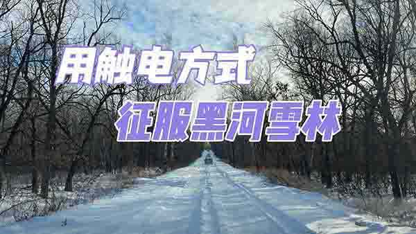  ��ID.4X ���|늷�ʽ�������ں�ѩ��