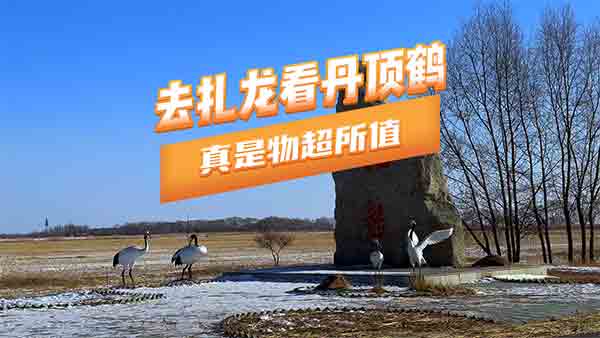 �_�_��ȥ����������Q�������ﳬ��ֵ