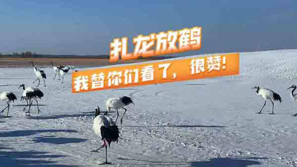 ����35���������Q�����ゃ���ˣ���ٝ��