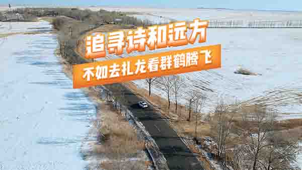 ��׷��Ԋ���h��������ȥ������Ⱥ�Q�v�w