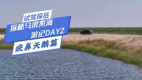 ̽��̽�؞����غ���ӛDAY2��������Zƪ