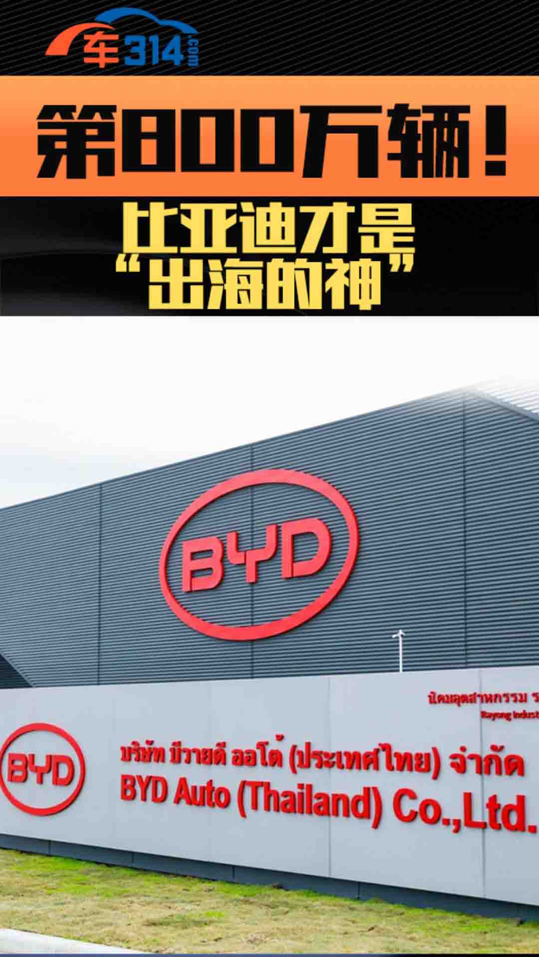 ��800�f�v���ȁ��ϲ�����ġ��������񡱰���