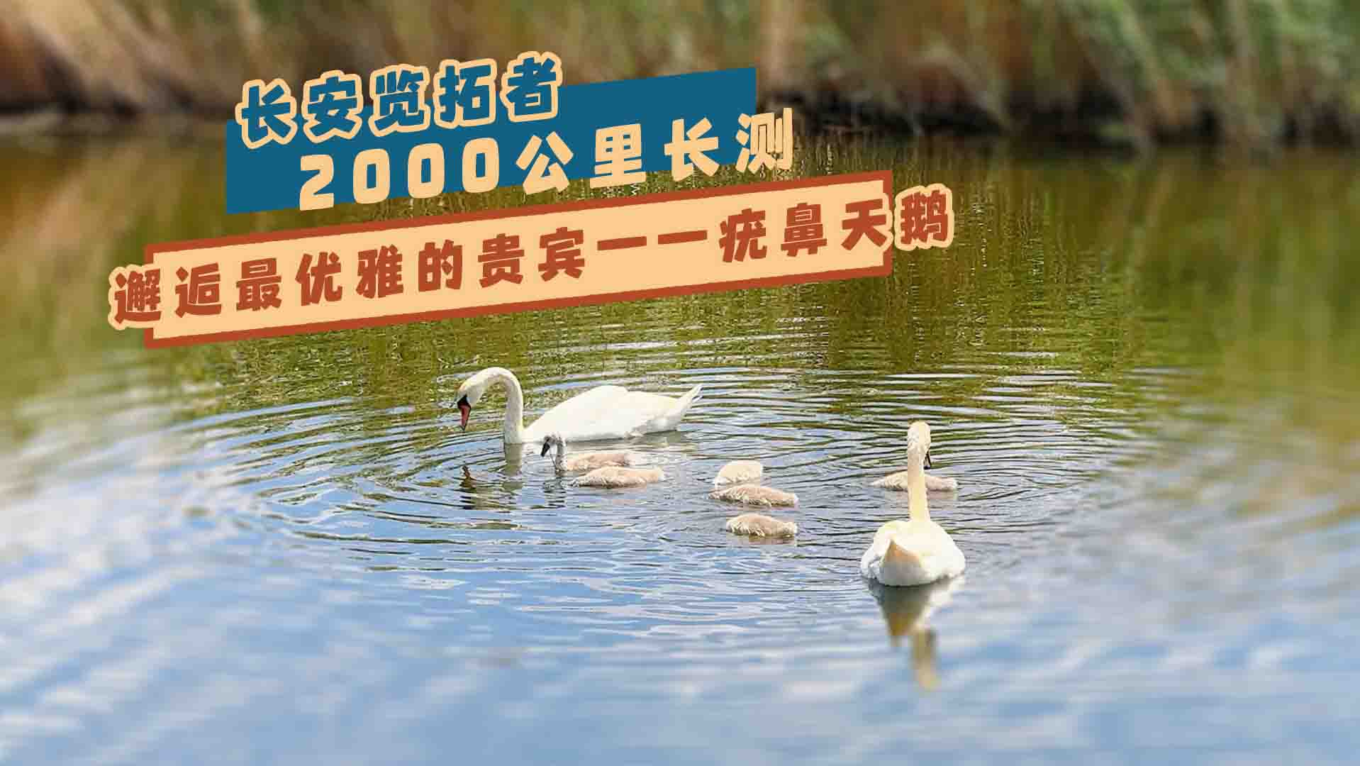 �L���[����2000�����L�y������������Z