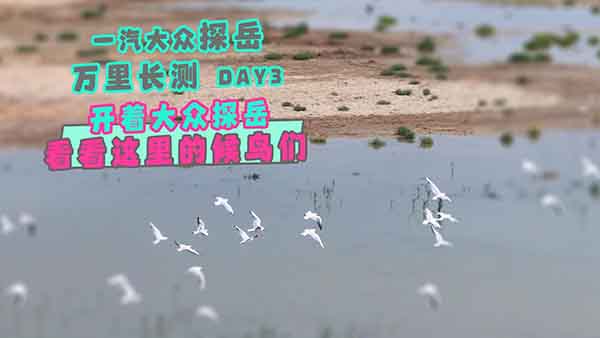 �_��һ����̽���������@��ĺ��B����