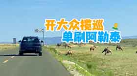 һ�����L�yDay5�_�󱊔�Ѳ��ˢ����̩