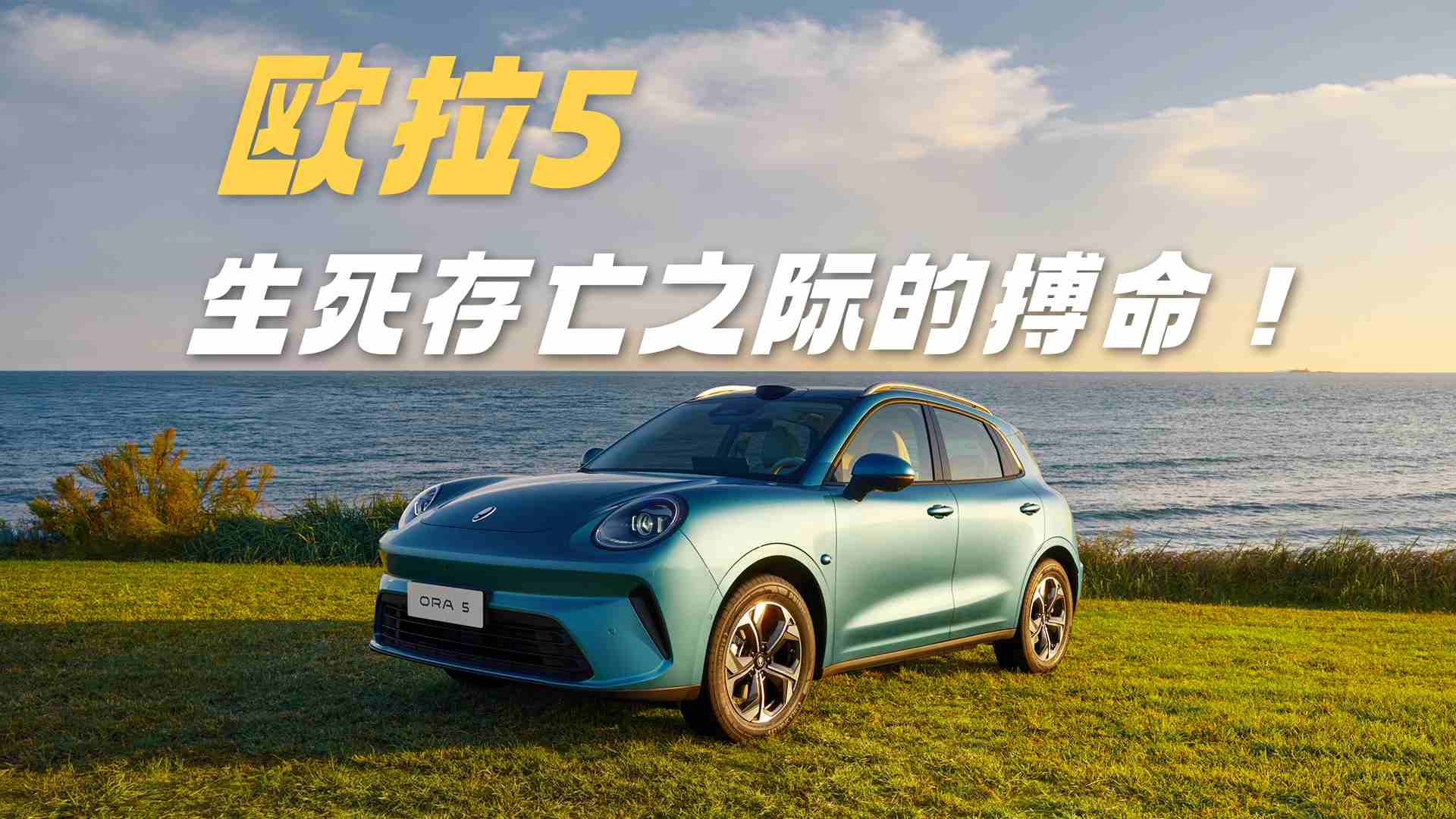 �W��5�����Ճɴ����� ��ڶ��ڃ�(n��i)�@���J(r��n)��