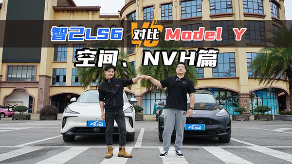 �Ǽ�LS6���(zh��n)��˹��Model Y ���g���S���