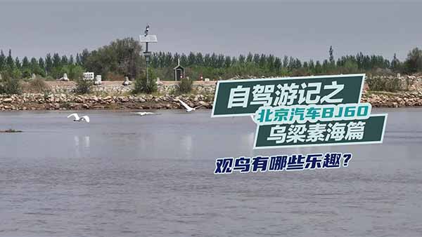 ������܇BJ60���{��ӛ֮�����غ�ƪ