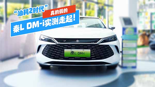 ���ͺ�2�r������ļٵ�����L DM-i��(sh��)�y������