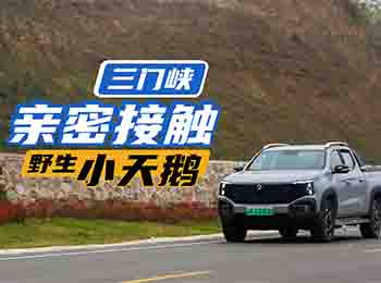 �L���C���f���L�y�ھż����T�{�c���Z����