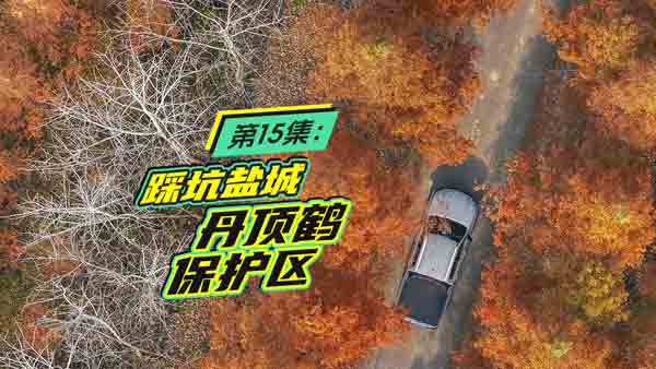 �L���C���L�y��ʮ�弯 �҂����}�ǲ��˿�