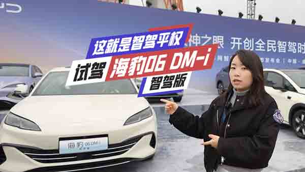 ����06 DM-i���{�� 10�f(w��n)�ײ˃r(ji��)+L2��(j��)���{