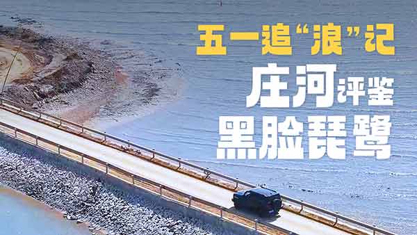 ̹��300׷���ˡ�ӛ�����ˇ���һ�����o����