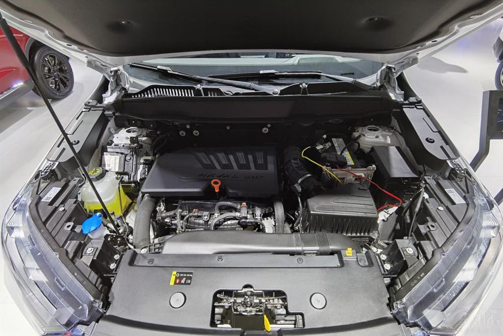 2021��������܇�P�c �ȁ�����PLUS�I(l��ng)�