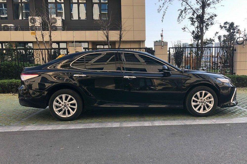 20�fֻ���x���w�̈́P�������ȁ��ϝh����