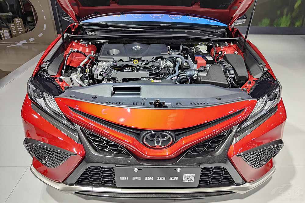 20�fֻ���x���w�̈́P�������ȁ��ϝh����