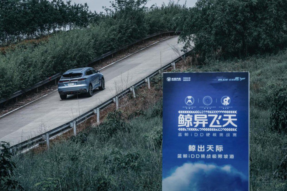 ���@��(d��n)��(d��ng)��ɫ �L(zh��ng)�����ƶ��(xi��ng)ُ(g��u)܇�a(b��)�N��ʩ