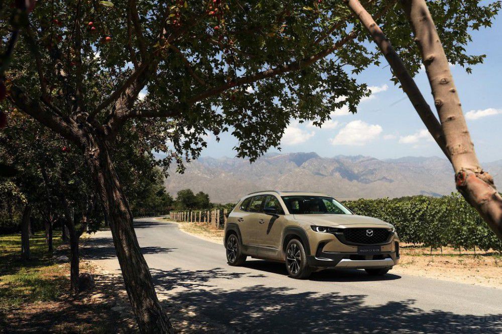 探索絲路文化 馬自達(dá)CX-50行也馳騁銀川 探索絲路文化 馬自達(dá)CX-50行也馳騁銀川