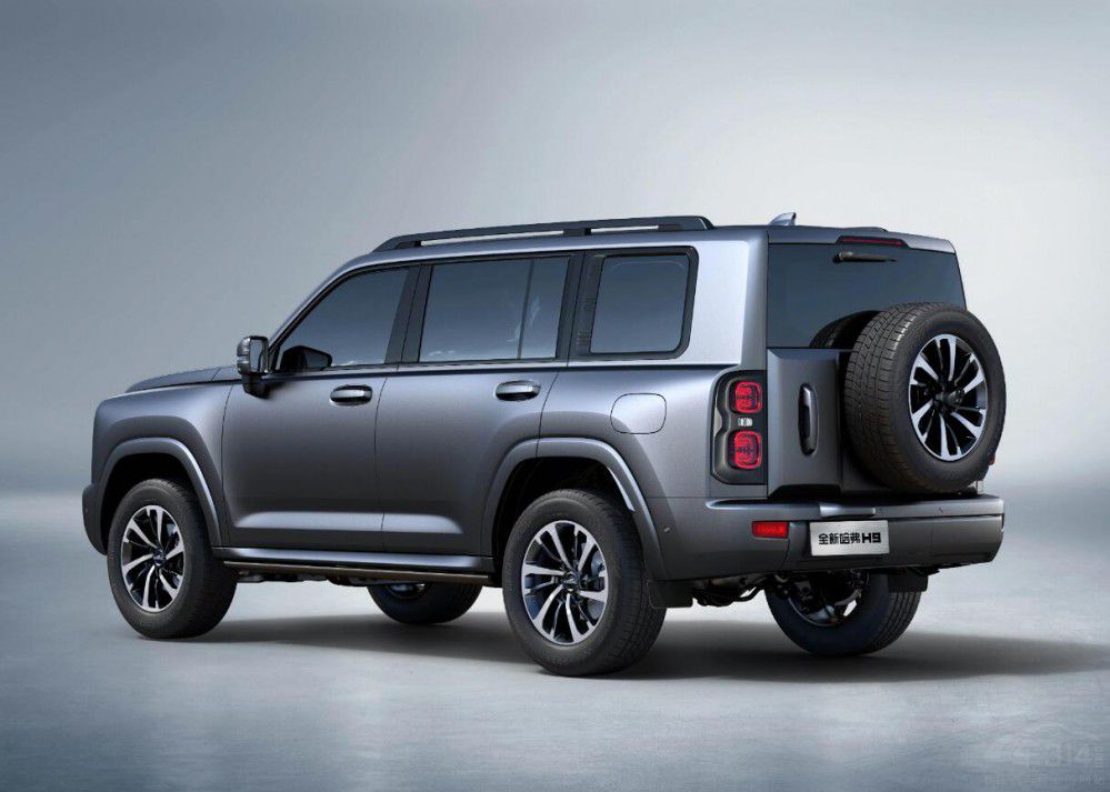 2024����ֵ���ڴ���ԽҰ �ȁ��ϲ�����