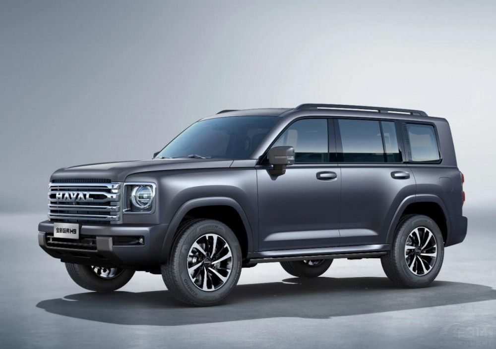 2024����ֵ���ڴ���ԽҰ �ȁ��ϲ�����