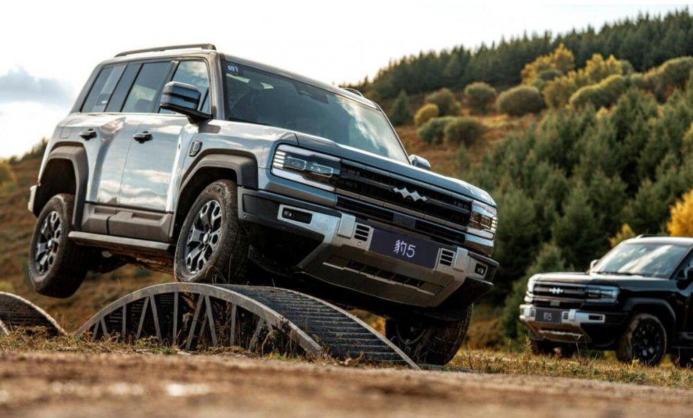 ��5�����{(l��n)G318�NĘ��������ֻ��Ƥ�����