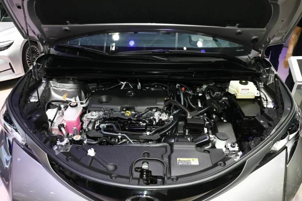 ���� ���(zh��n) ���Y��κ�Ƹ�ɽ ���� �S��ِ��