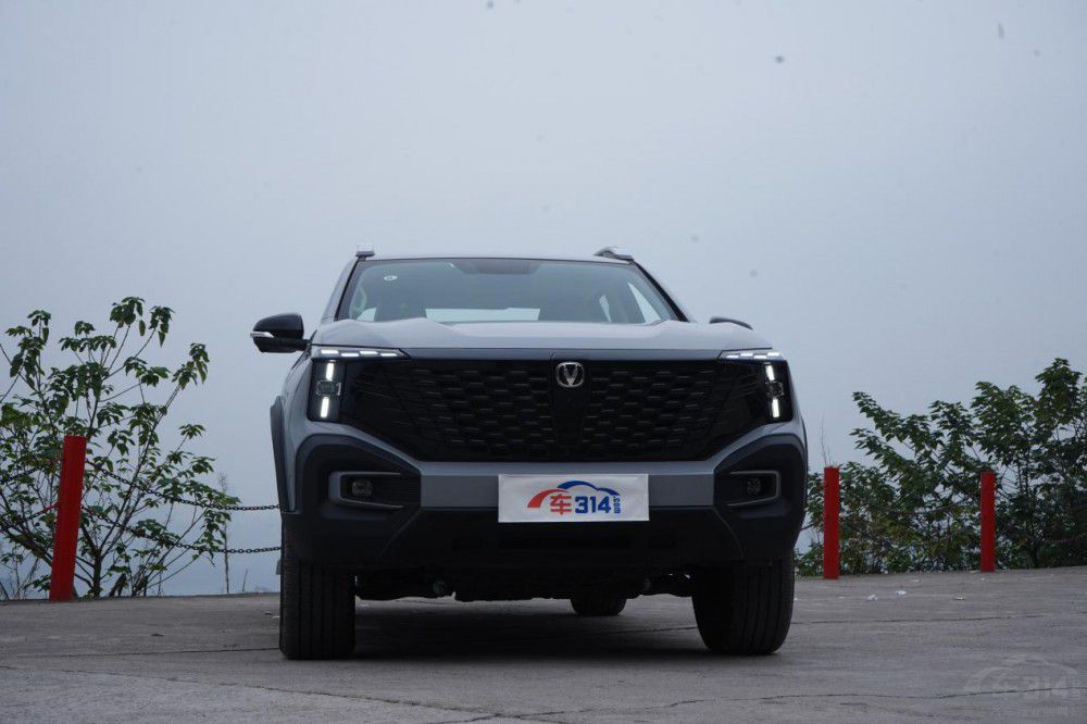 Ƥ�������d؛ԽҰ����߀������Щ��(y��u)�c(di��n)��