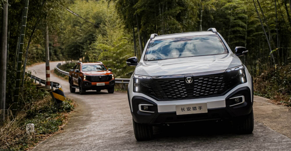 ��Ƥ��ԓ��ζ��x���L(zh��ng)���C�֣����ǿ��V��