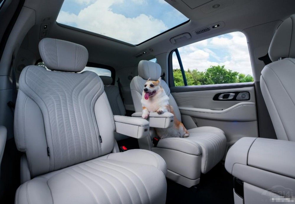 20�f�����ASUV���㼪���y��M9�Ŀ�ֵ���I��