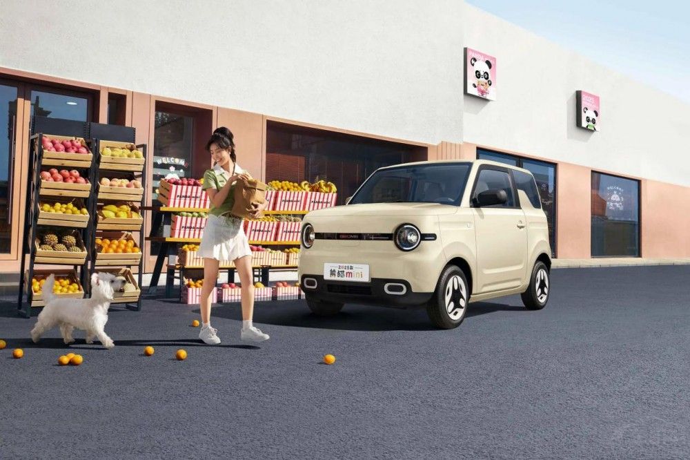 ���MINIEV�ͼ�����؈�l�������p��������