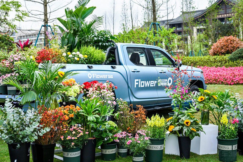 8.88�fԪ�� �r������Ƥ��������������