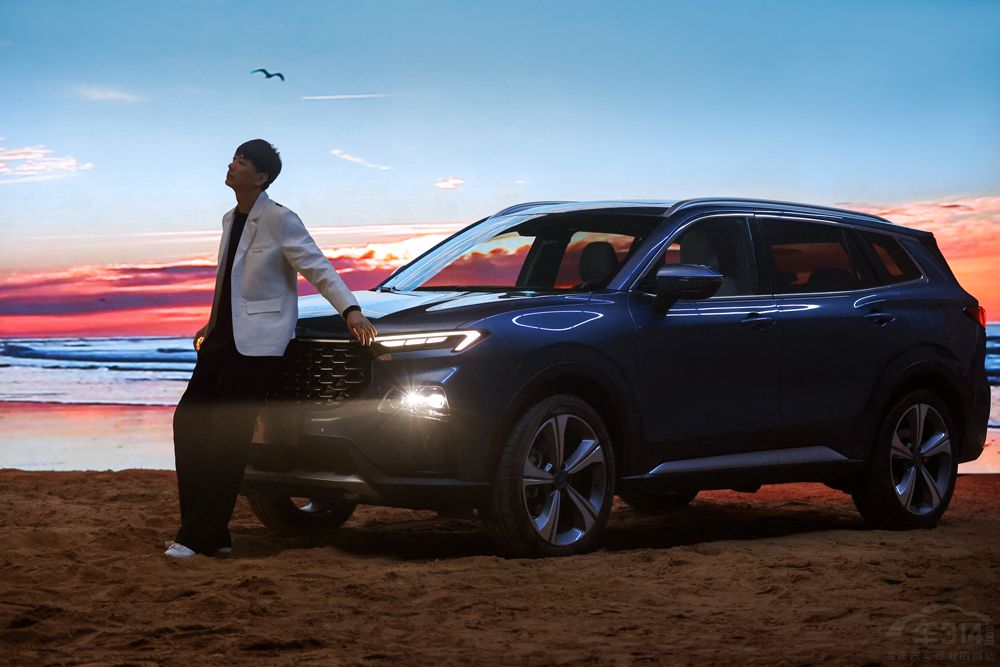 ���w�������hSUV��⏸����I���������