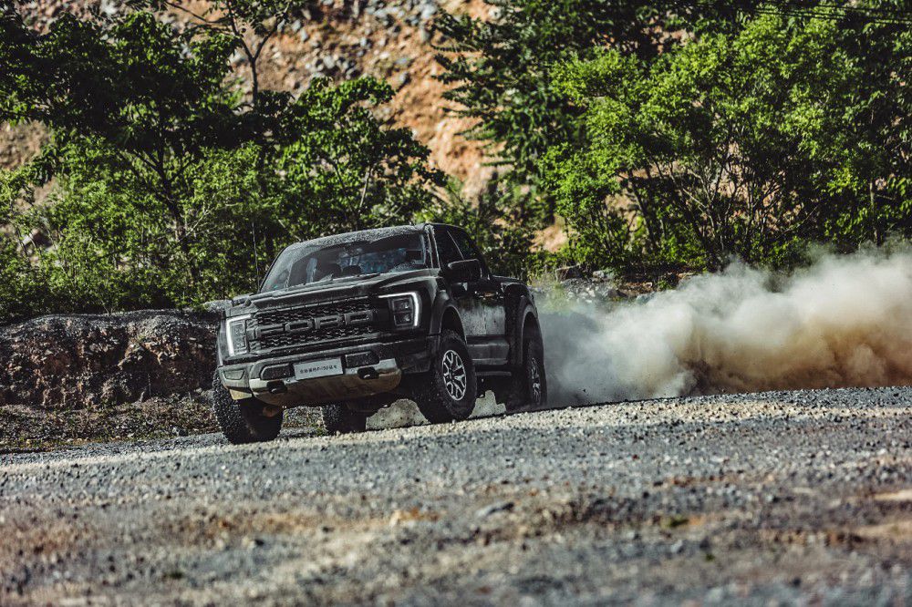 ������ԽҰƤ�� ����F-150������ʽ������