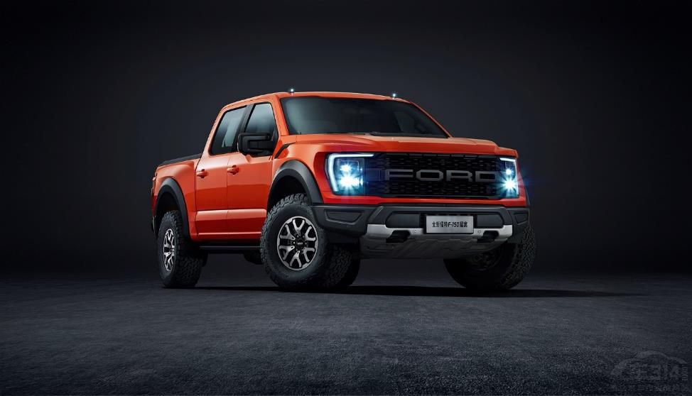 ������ԽҰƤ�� ����F-150������ʽ������