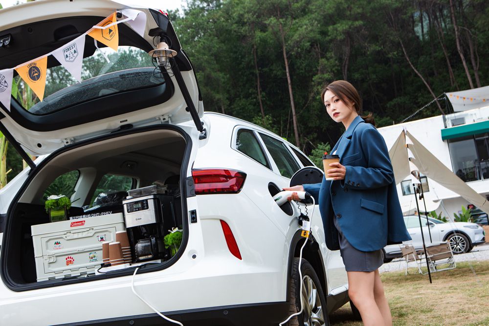 15.98�fԪ�� H6 DHT-PHEV�^(q��)��ͬ��������