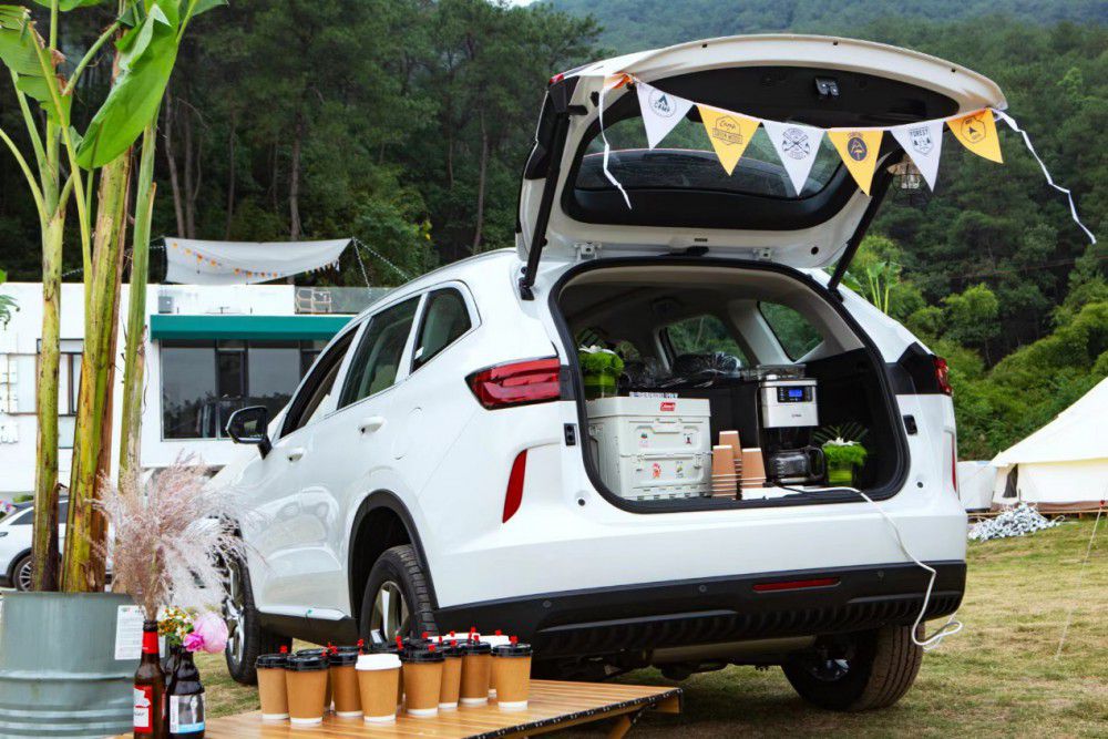 15.98�fԪ�� H6 DHT-PHEV�^(q��)��ͬ��������