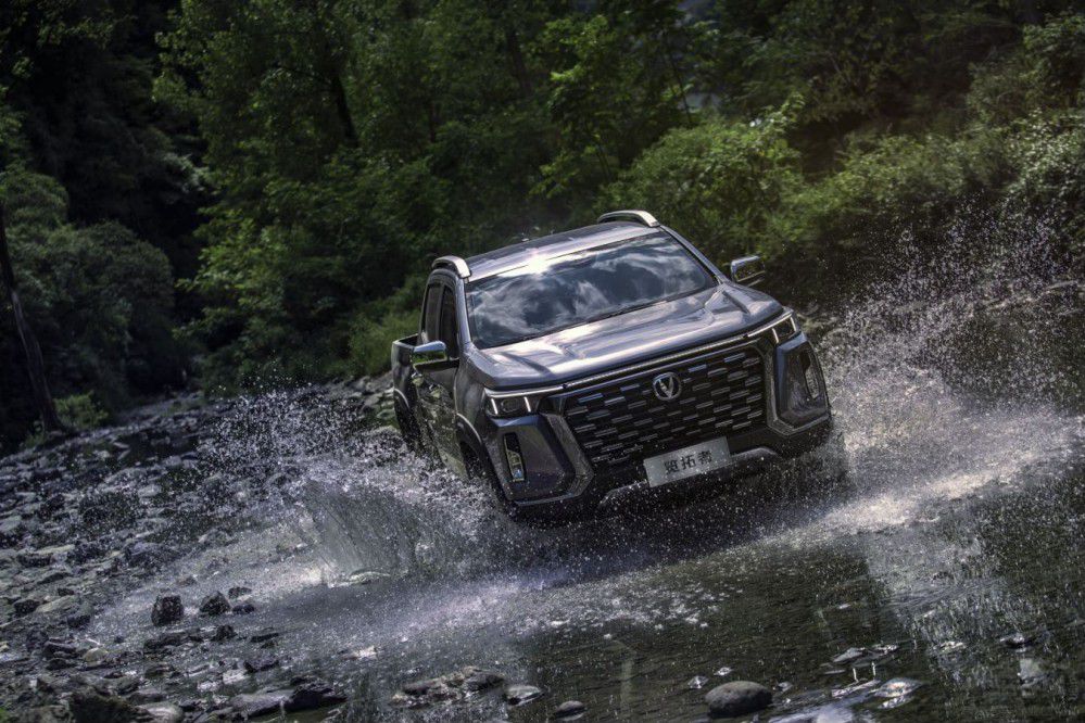 �L(zh��ng)���[�������� �ۃr(ji��)9.99�fԪ-14.99�fԪ