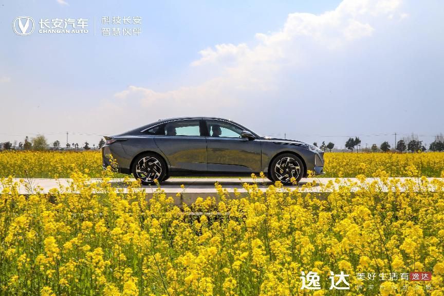 ���_(d��)�A(y��)�ۃr(ji��)����  8.99�f(w��n)Ԫ���F(xi��n)����������