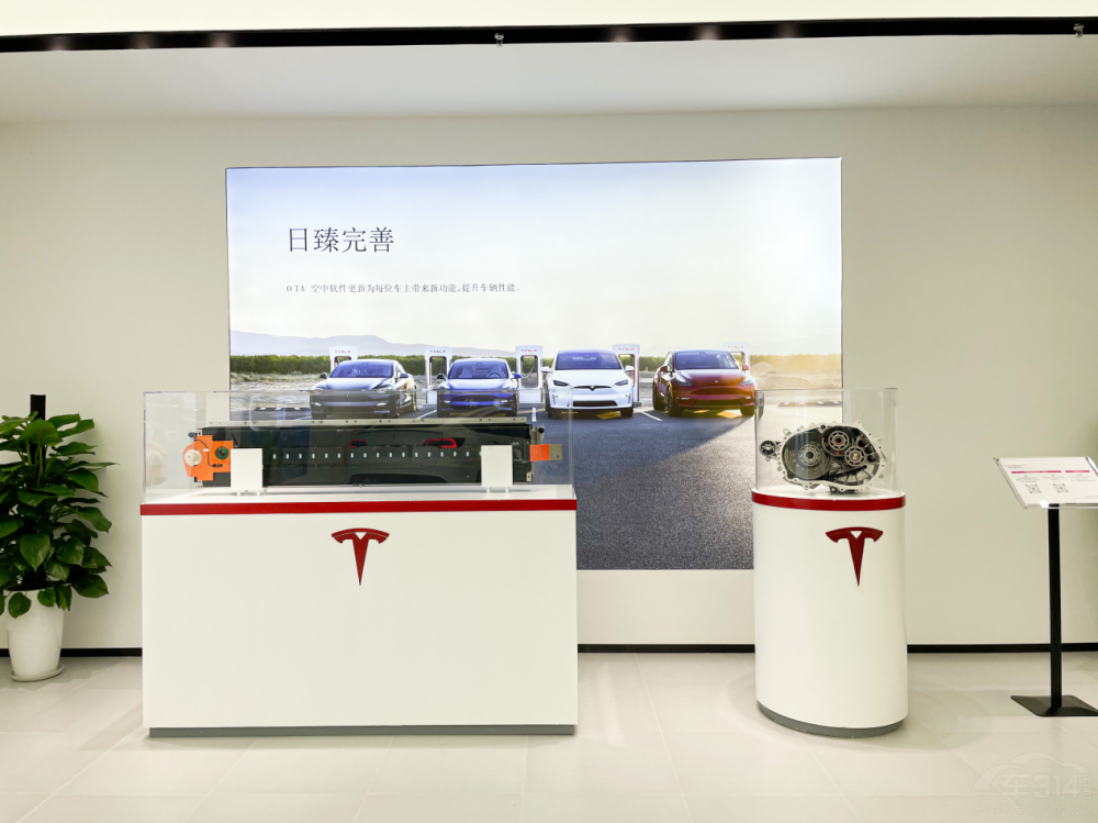 ��˹�����W�F(xi��n)��ʯ���f�Ěg���R100�w�(y��n)�� 