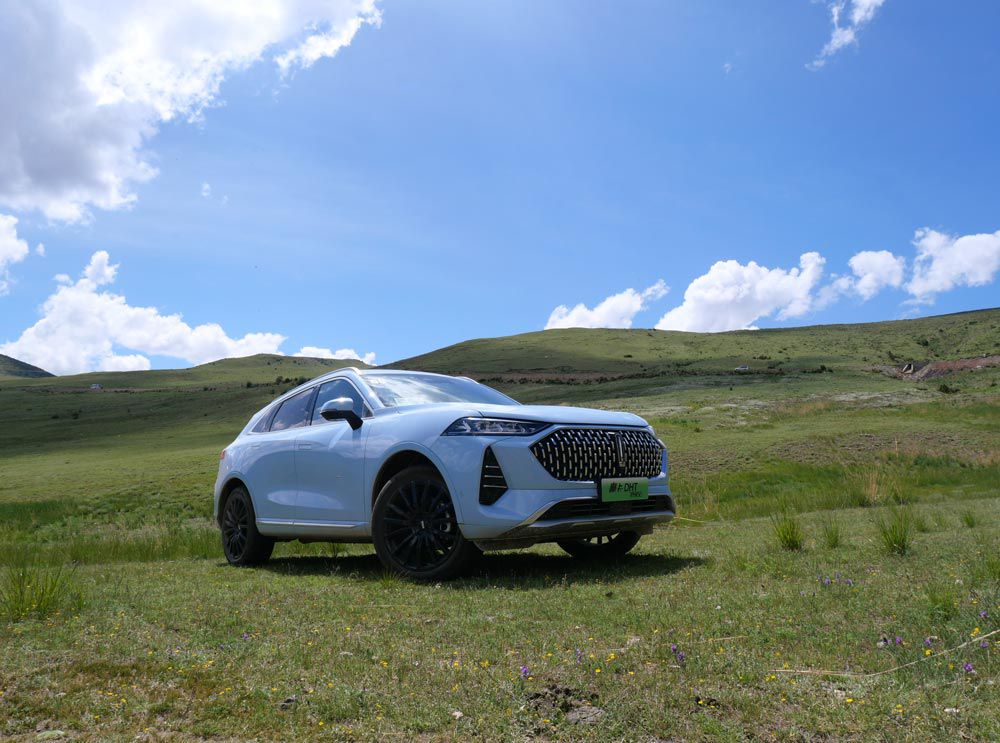 �L�����{(l��n)�͌��ֵĲ��s����N�������ġ���