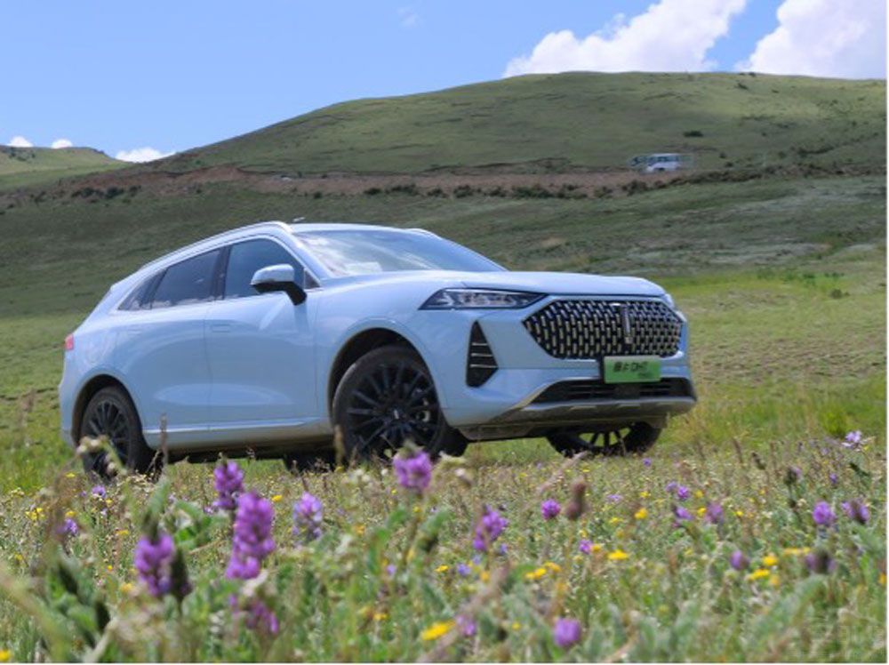 �ИI(y��)���н��Bᘌ�����ʽ���g(sh��) ĳ����ˆ�