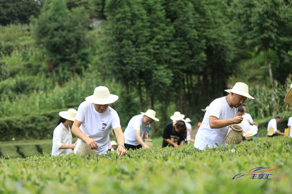 一汽豐田豐享匯豐收計(jì)劃·五峰助農(nóng)之旅啟幕 一汽豐田豐享匯豐收計(jì)劃·五峰助農(nóng)之旅啟幕