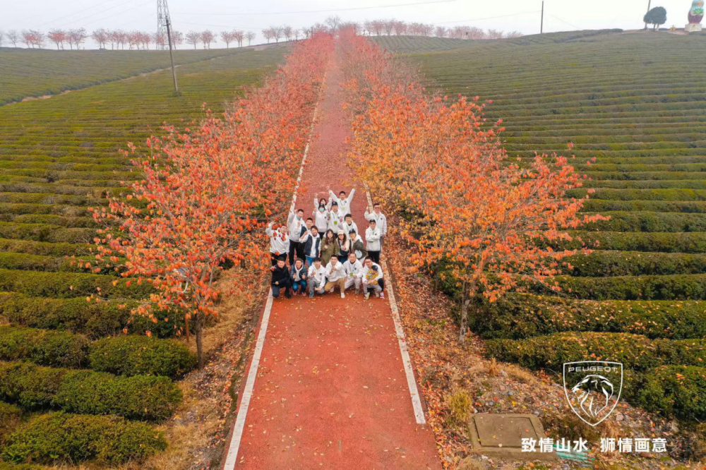 �|�L(f��ng)��(bi��o)�«@ȫ���ׄ�(chu��ng)���w��+��ِ����шF꠪�