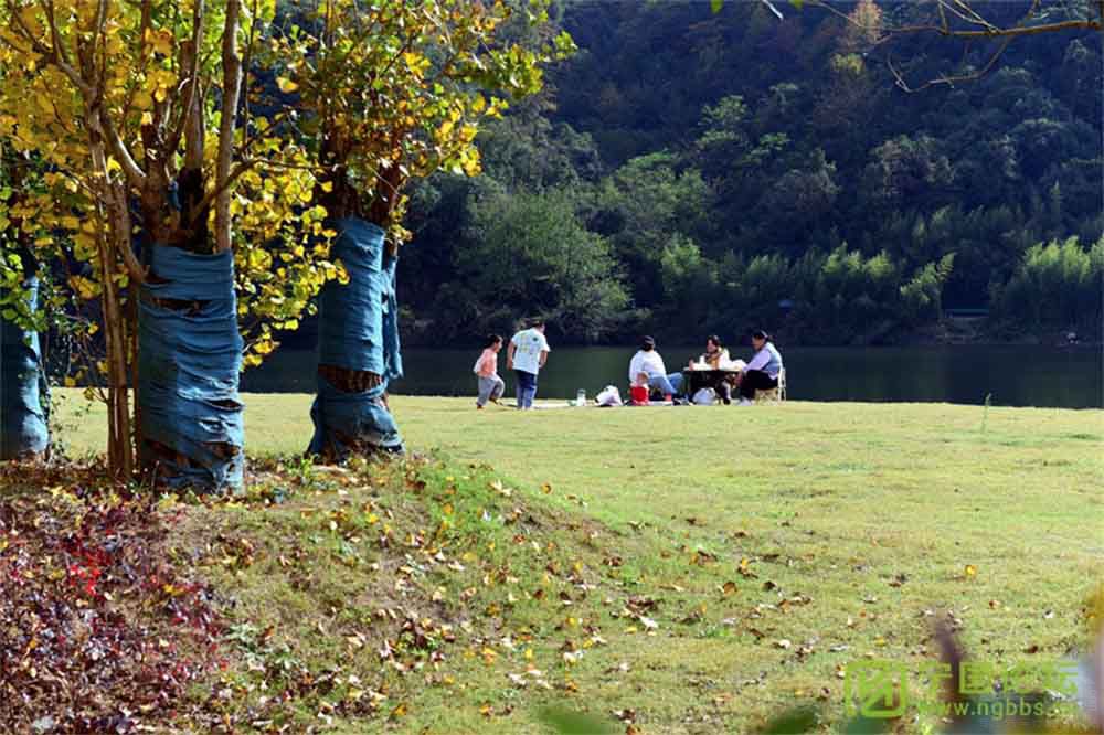 ����G318�o(j��)��Ӱ�������(xi��ng)Ŀ�߄����e��