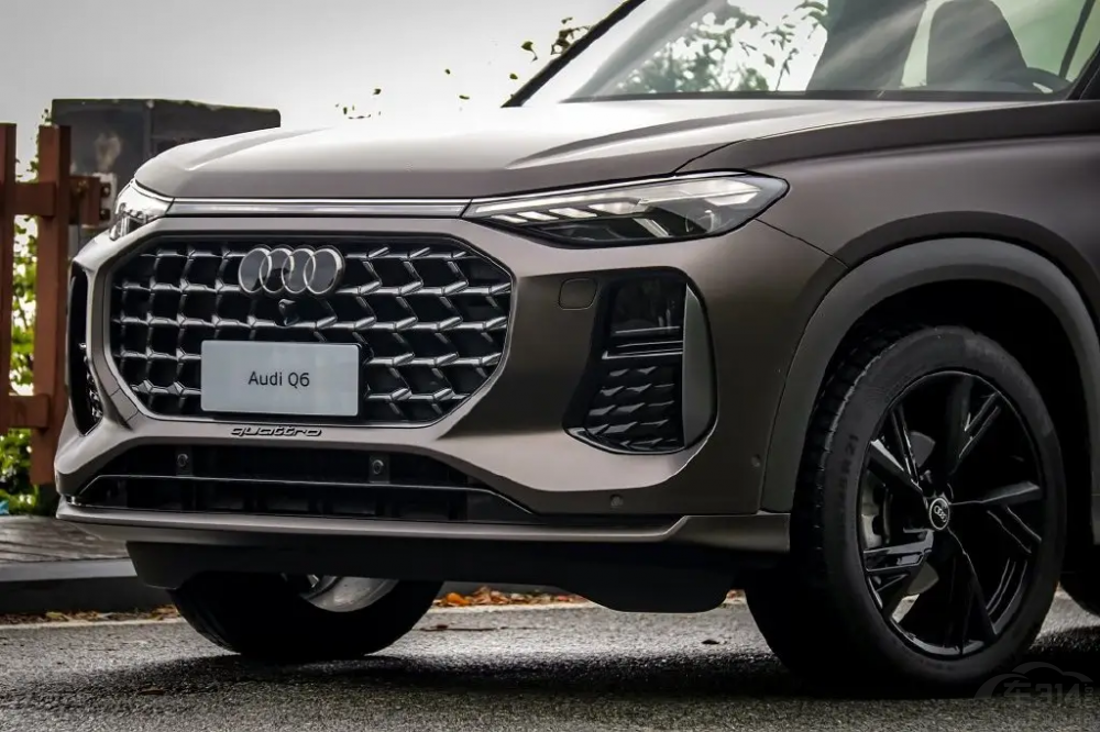 �����W���N���K���̶� �Z�Q�C����������