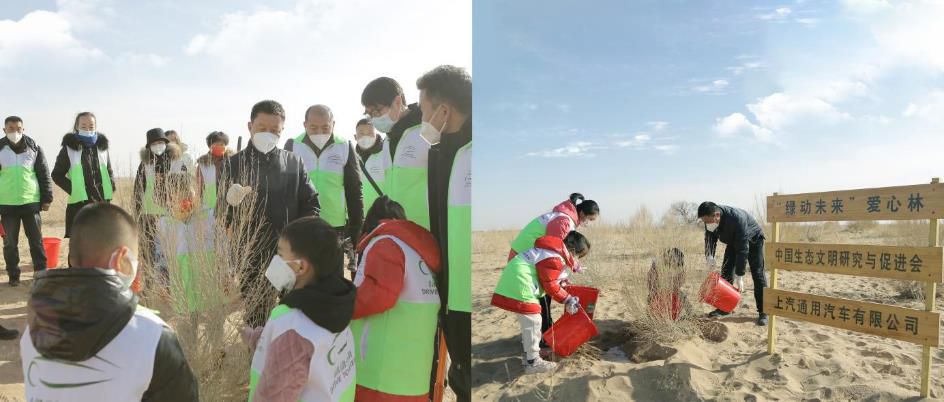 ���G��(d��ng)δ��(l��i)���ٸ����C���� ��ɳĮ�����¾G