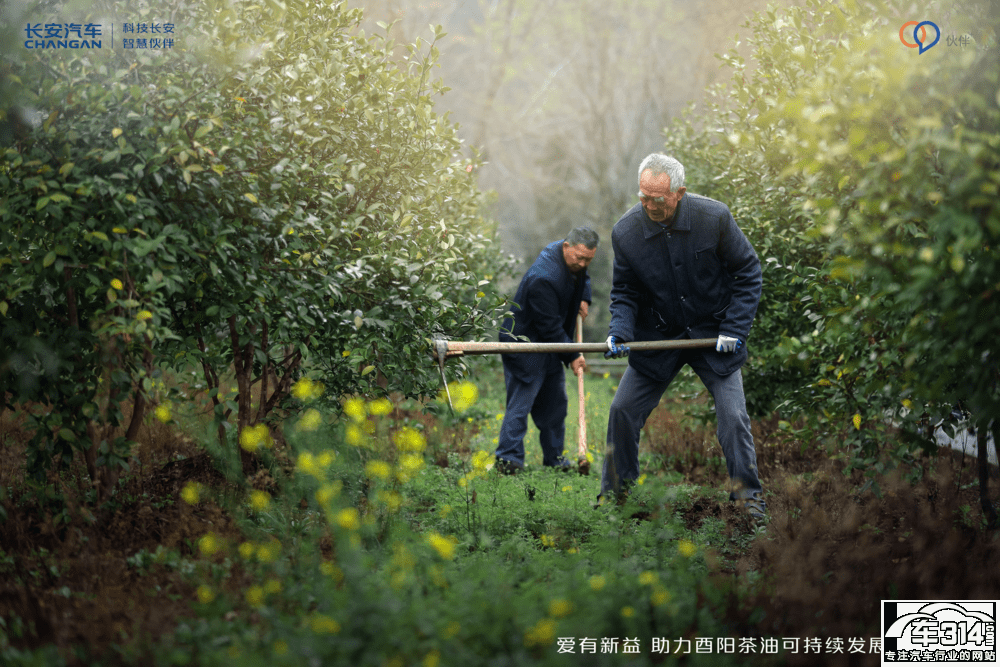 愛(ài)有新益 長(zhǎng)安幫扶酉陽(yáng)跨界新公益再進(jìn)階 愛(ài)有新益 長(zhǎng)安幫扶酉陽(yáng)跨界新公益再進(jìn)階